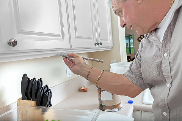 european kitchen cabinets